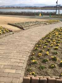 Springtime Bliss at Mizunomori Water Botanical Garden