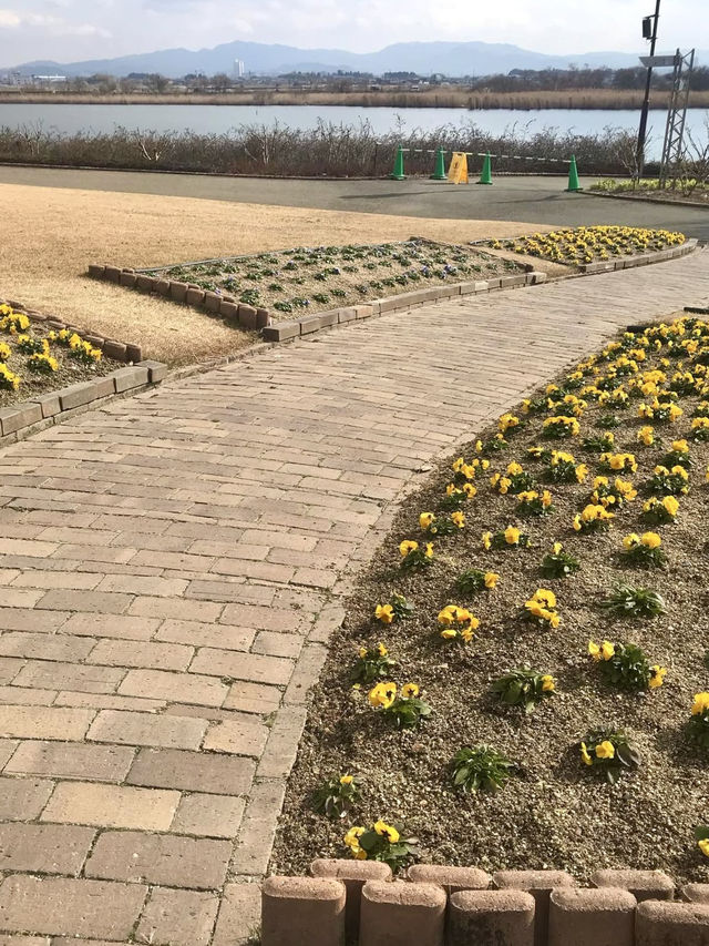 Springtime Bliss at Mizunomori Water Botanical Garden