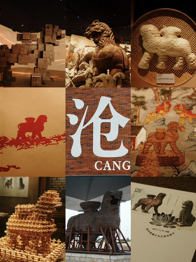 🐯 First Time Hearing of Cangzhou?