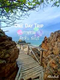 One Day Trip เกาะขาม
