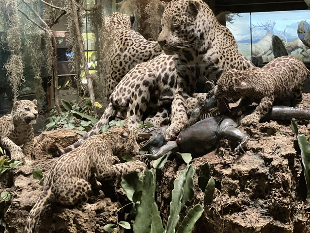 A great museum for spring break! 