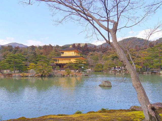 🇯🇵간사이 여행 교토 가볼만한 곳, 금각사(킨카쿠지)🇯🇵
