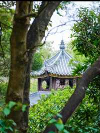 珠海香山湖公園｜全家半日遊首選🌳  