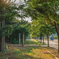 富陽自然生態公園·綠意世外桃源
