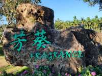 #芳葵Fragrance庭園餐廳-屏東縣東港鎮