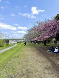 A Spring Stroll at Kyunakagawa Mizube Park