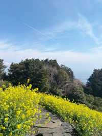 【小田原】人工物と自然が混ざりあう、不思議な空間