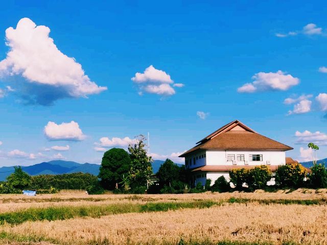 泰國著名旅遊城市楠府旅遊攻略，適合打卡拍照📸
