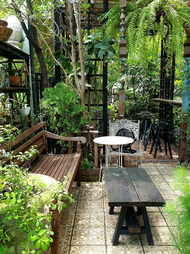 SIT UNDER TREE  Special Coffee & Home Roasters