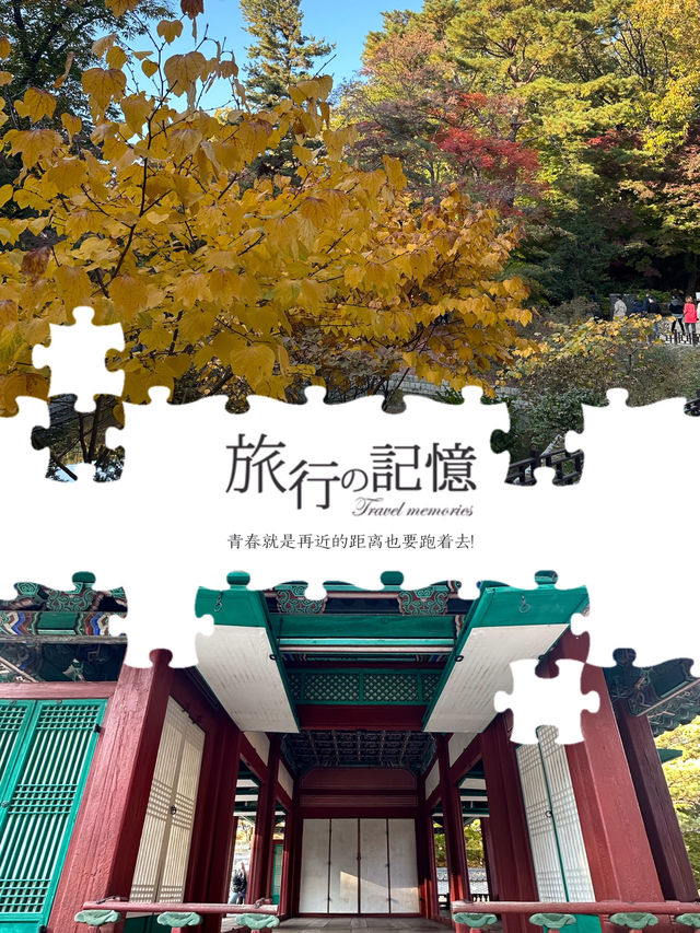 昌德宮秘院攻略👆