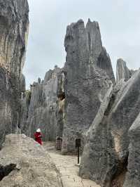 Shilin amazing stone forest