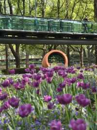 Xujiahui Park– Shanghai’s Urban Oasis with a Musical Twist