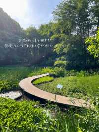 無料で入園できる日がある！？つくば植物園🌱