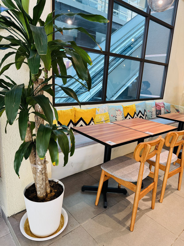 From Plant Vibes to Pillow Seats – Aesthetic Café Alert!