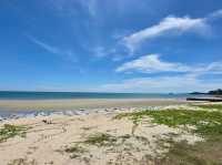 beatiful sunny day at port dicskon