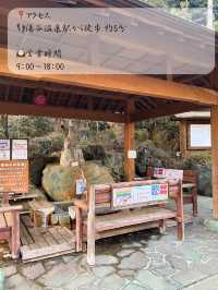 看板猫🐈がいる！？湯谷温泉の無料の足湯♨️