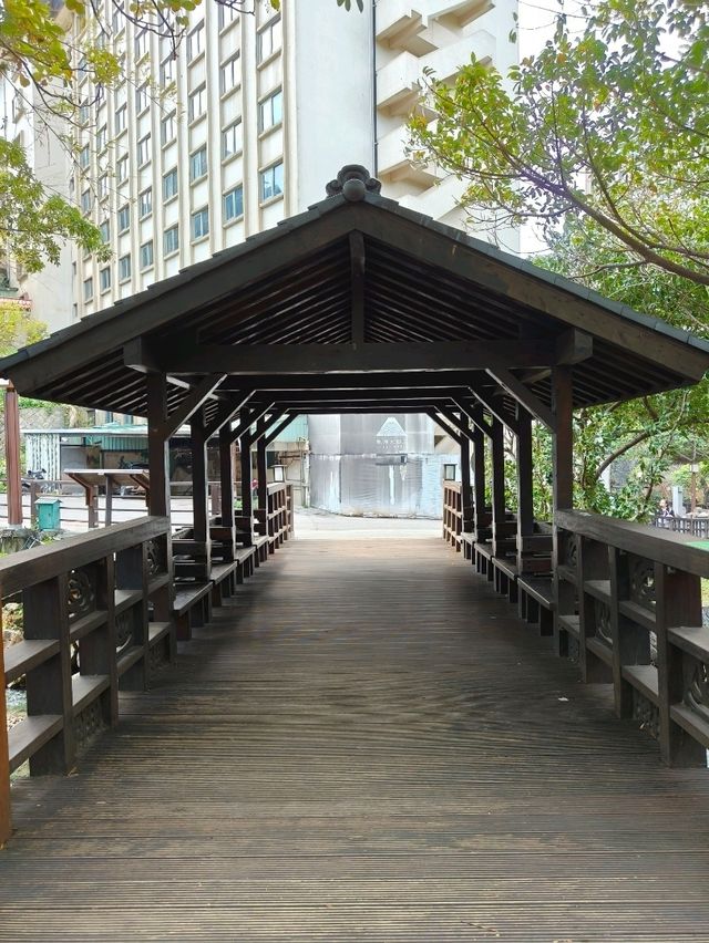 Hot Springs & Hidden Gems in Beitou Park