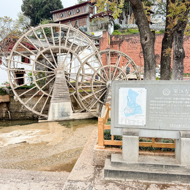 พาเดิน เมืองโบราณ Lijiang Ancient Town🇨🇳