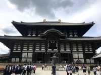 東大寺大仏殿と鹿公園（奈良県奈良市）