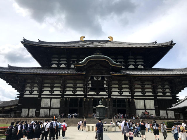東大寺大仏殿と鹿公園（奈良県奈良市）