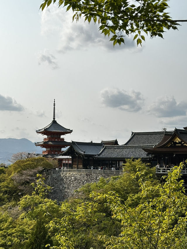 여행 초보자의 오사카~교토 탐방