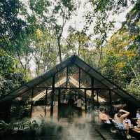 Tranquil Retreat at Hill & Heal Cafe