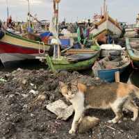 Cilincing: Jakarta’s Fishing Village