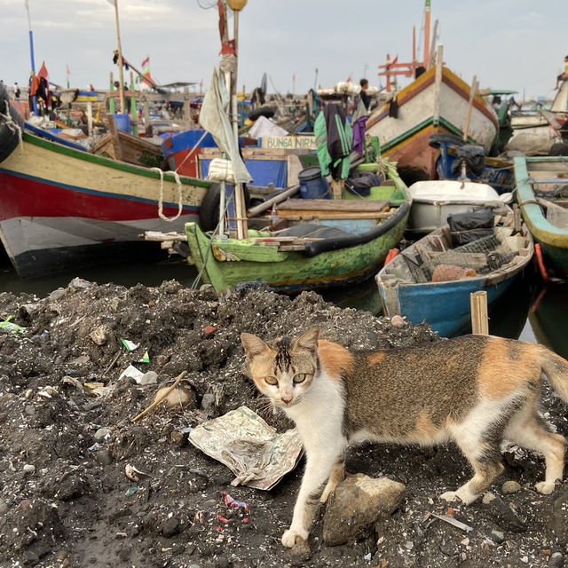Cilincing: Jakarta’s Fishing Village
