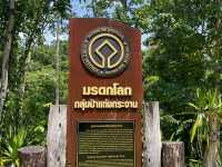 ชมผีเสื้อนานาชนิด ที่ แคมป์บ้านกร่าง แก่งกระจาน