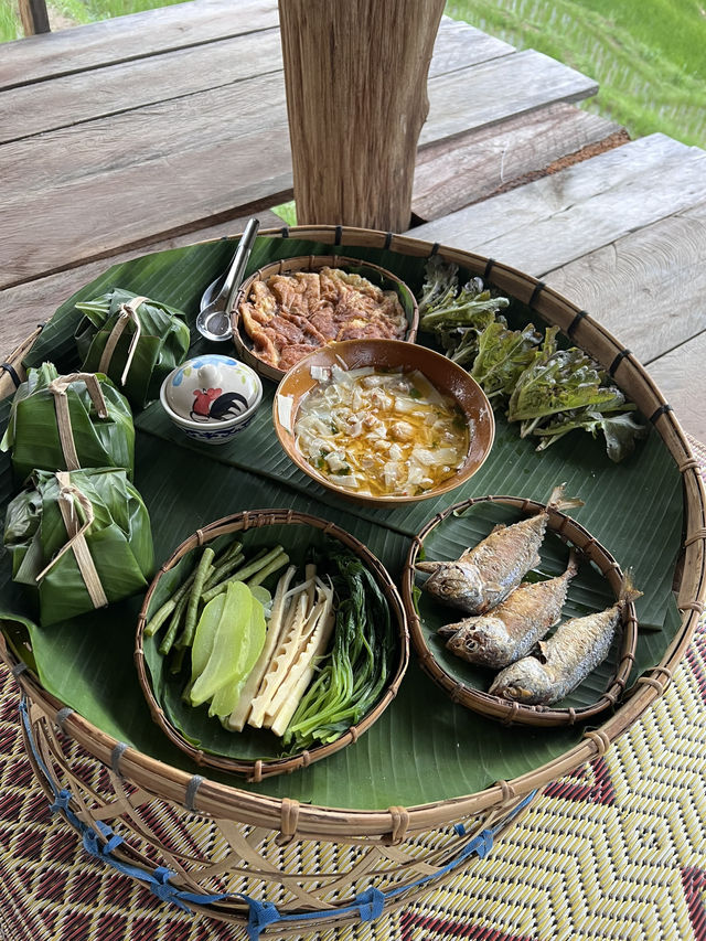 นาขั้นบันได บ้านปางมะโอเชียงใหม่