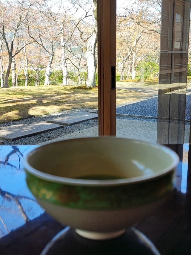 Hakone Museum of Art: A Masterpiece of Moss and Stone
