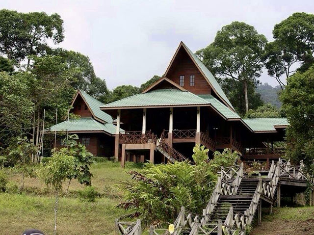 🌿 Maliau Basin: The Lost World Adventure You NEED to Try! 🦎