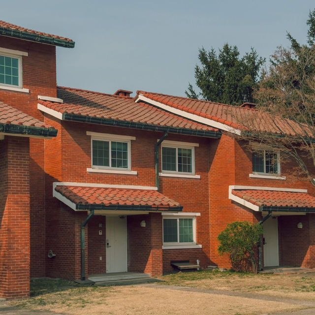 Yongsan Family Park จึดเช็คอินฮิตที่โซล