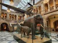 Kelvingrove Art Gallery and Museum