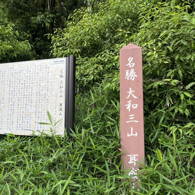 【大和三山と藤原京】⛰️ 世界遺産候補🌎