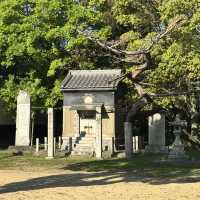 🇯🇵【愛媛県】広々とした敷地の八幡神社(^^)