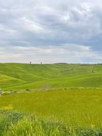 สัมผัสทุ่งหญ้าเขียวที่ ทัสคานี (Tuscany)