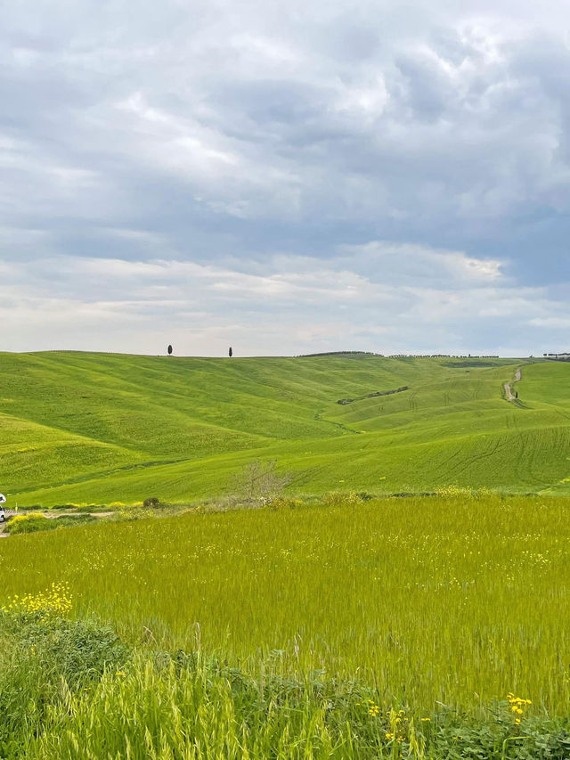 สัมผัสทุ่งหญ้าเขียวที่ ทัสคานี (Tuscany)