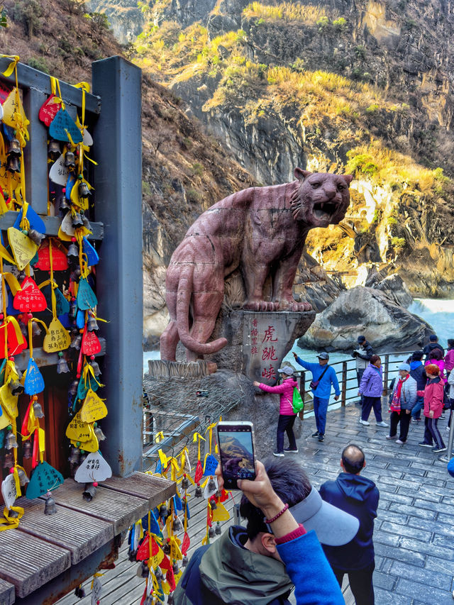 Epic Views and Wild Trails: Exploring the Majestic Tiger Leaping Gorge (虎跳峡)