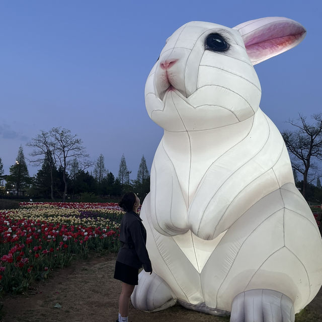 매년 방문해줘야하는 청주 꽃여행 문암생태공원 🌷