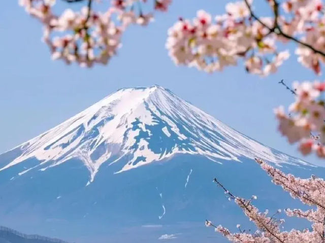 💥買一送一💥日韓賞花一日遊半價🇯🇵🇰🇷