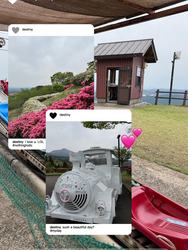 很舒適，一個大型公園
