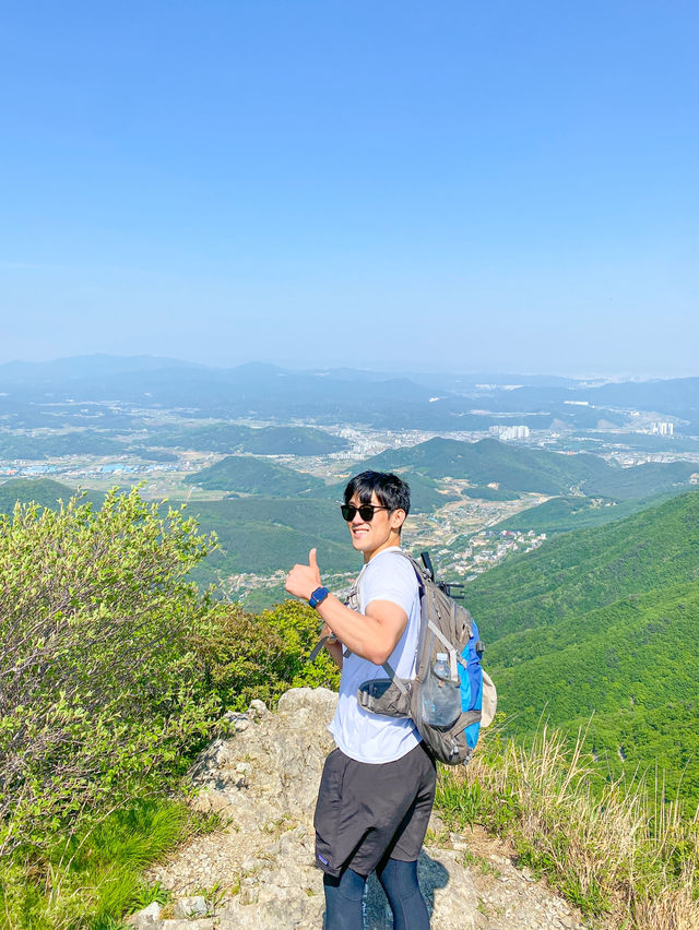 지금 딱 오르기 좋은 울산 간월재 