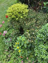 香港｜香港動植物公園