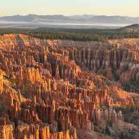 Hoodoos at Sunrise Point – Bryce Canyon NP, UT