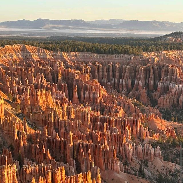 Hoodoos at Sunrise Point – Bryce Canyon NP, UT
