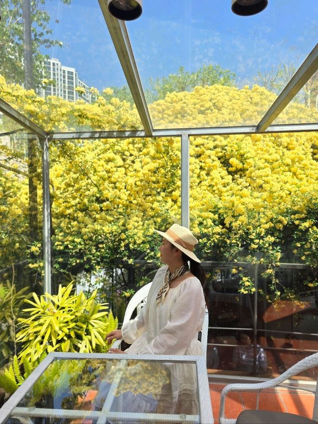 눈도 입도 즐거운 5월의 대구여행코스 3곳💛