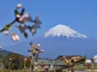 Climbing Mount Fuji