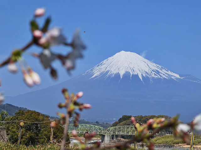 Climbing Mount Fuji