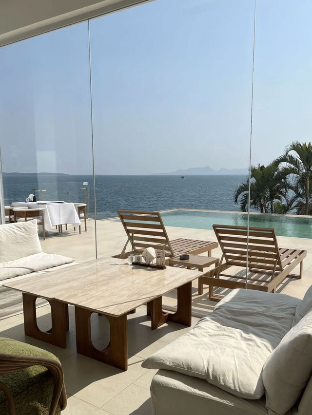 🌱深圳美食｜約會好地方｜海景餐廳🌊